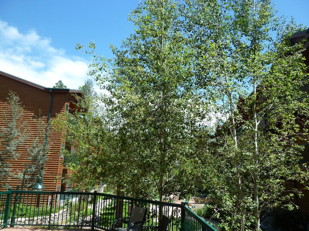 Ruidoso River Resort Condos Экстерьер фото