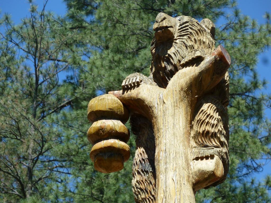 Ruidoso River Resort Condos Экстерьер фото